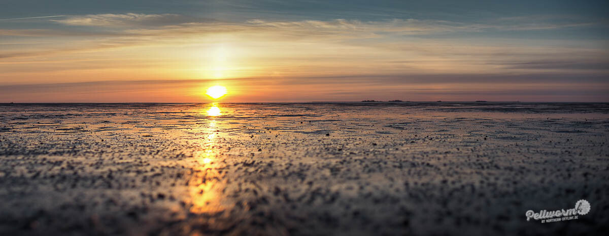 Sonnenuntergang über dem Pellwormer Watt