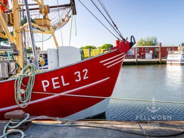 Der Krabbenkutter PEL 32 liegt im Pellwormer Hafen in Tammensiel und wartet auf die nächste Fangfahrt. Auf der anderen Seite des Hafenbeckens sieht man das Schifffahrtsmuseum und die MS Nordfriesland der NPDG.
